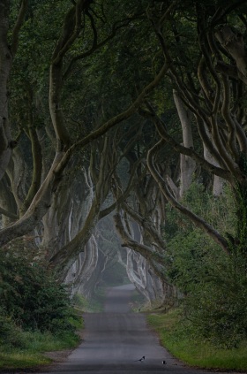 2023_Irland/Nordirland