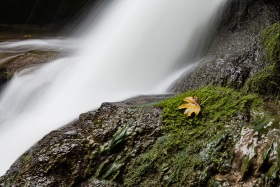 2019_15_Natur-Wasser_c_Marco-Weber-1280