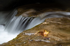 2019_16_Natur-Wasser_c_Marco-Weber-1280
