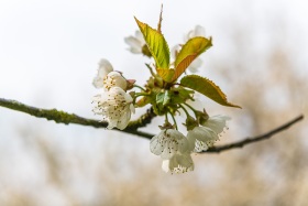 2019_26_Natur-Wasser_c_Marco-Weber-1280