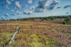 2020_21_Natur-Wasser_c_Marco_Weber-1280