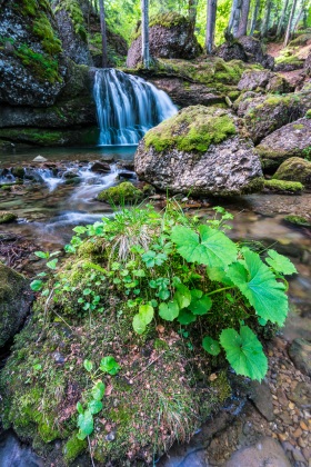 2020_2_Natur-Wasser_c_Marco-Weber-1280