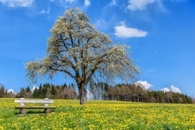 2021_30_Natur-Wasser_c_Marco_Weber-1280