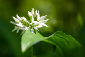 2021_31_Natur-Wasser_c_Marco_Weber-1280