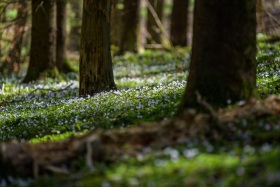 2021_32_Natur-Wasser_c_Marco_Weber-1280