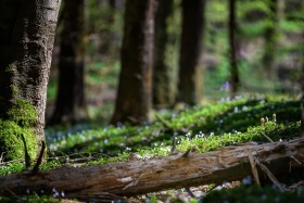 2021_33_Natur-Wasser_c_Marco_Weber-1280