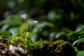 2021_34_Natur-Wasser_c_Marco_Weber-1280