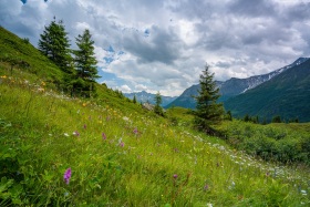 2020_Susten_(c)_Marco_Weber