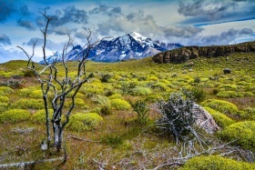 2017_2_Chile_c_Marco-Weber-1280 2017_2_Chile_c_Marco-Weber-1280