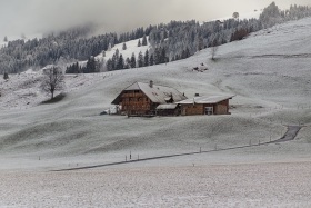 2020_56_Schweiz_c_Marco-Weber-1280 2020_56_Schweiz_c_Marco-Weber-1280