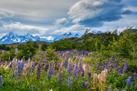 2017_23_Chile_c_Marco-Weber-1280-1