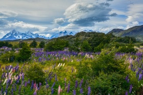 2017_24_Chile_c_Marco-Weber-1280-1