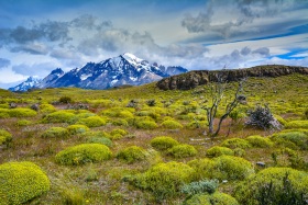 2017_4_Chile_c_Marco-Weber-1280-1