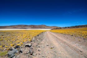 2018_115_Argentinien_c_Marco-Weber-1280-1