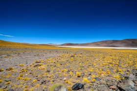 2018_116_Argentinien_c_Marco-Weber-2-1280-1