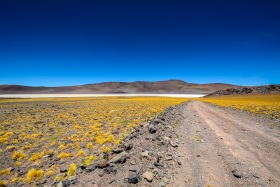 2018_117_Argentinien_c_Marco-Weber-2-1280-1
