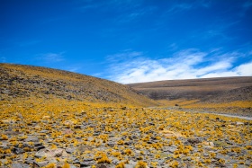 2018_119_Argentinien_c_Marco-Weber-1280-1