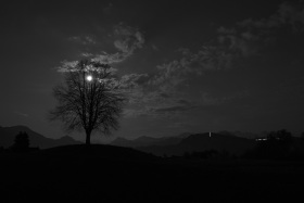 2019_Meggen_(c)_Marco_Weber