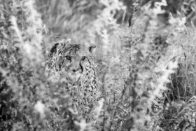 2025_Namibia_(c)_Marco_Weber