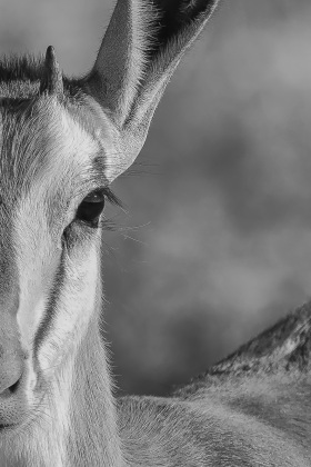 2025_Namibia_(c)_Marco_Weber