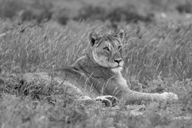 2025_Namibia_(c)_Marco_Weber