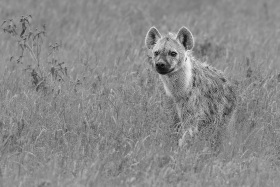 2025_Namibia_(c)_Marco_Weber