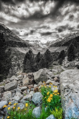 2020_4_Utopia_c_Marco-Weber-1280