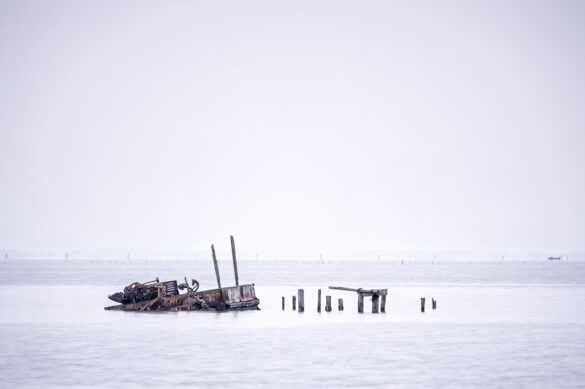 _Z726982-Version1-1280