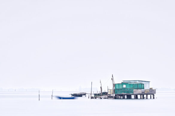 _Z726996-Version1-1280