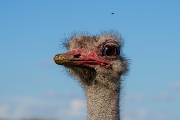 _DSC0033-1280