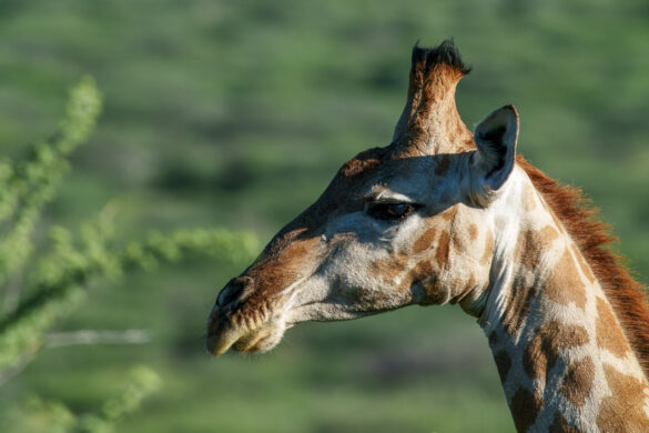 _DSC0291-2-1280