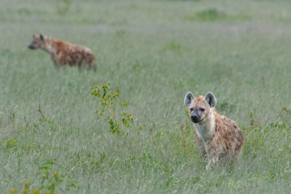 _DSC6831-2-1280